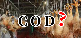 一般雞屠宰廢水COD在多少？