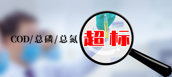 【超標(biāo)】屠宰場(chǎng)廢水COD總氮和總磷超標(biāo)？用這3種方法解決！