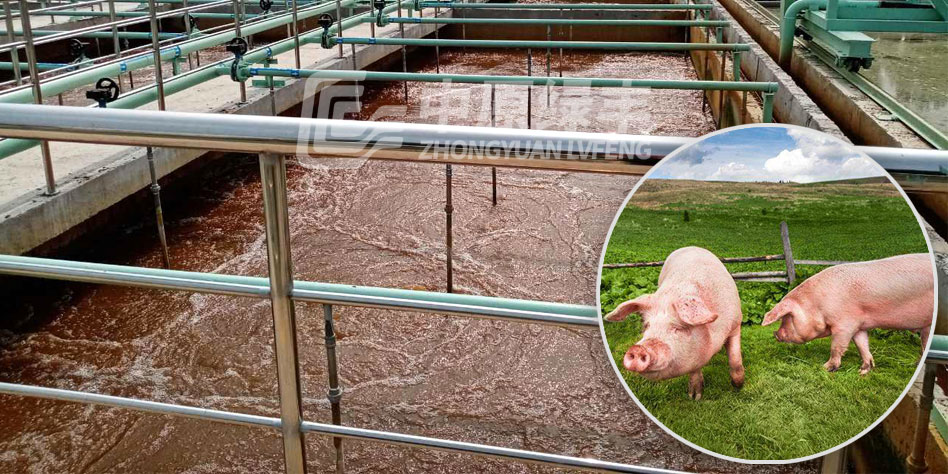 屠宰廢水應(yīng)該怎么處理？