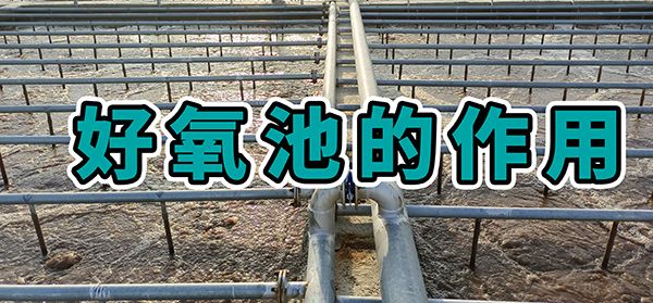 屠宰污水處理工藝中好氧池的作用