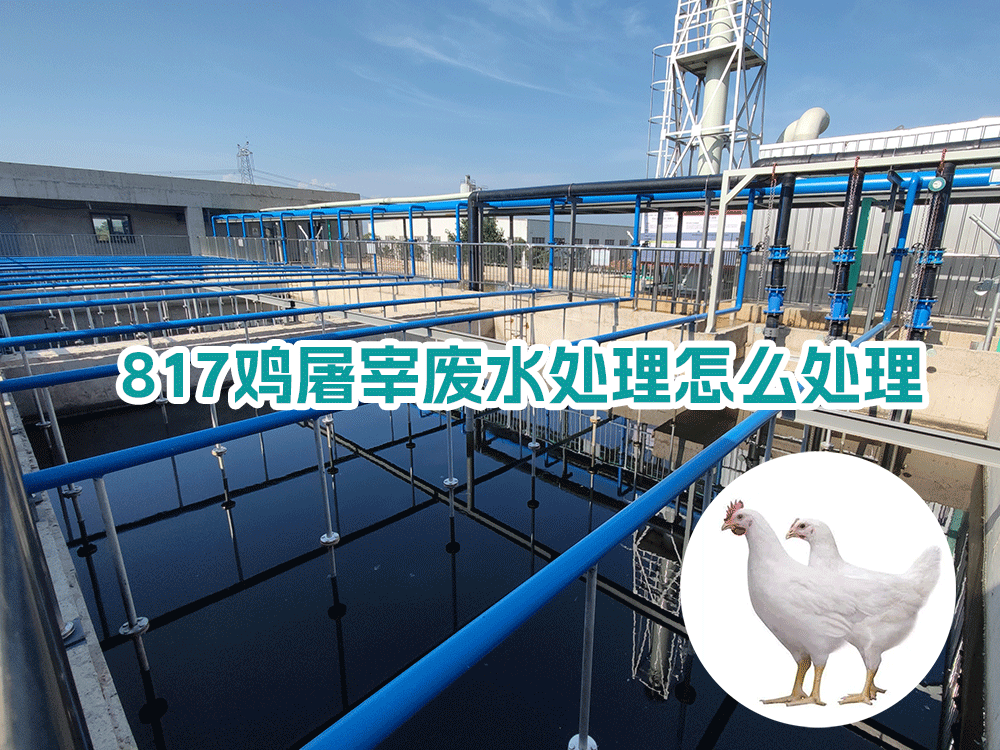 817雞屠宰廢水處理怎么處理？