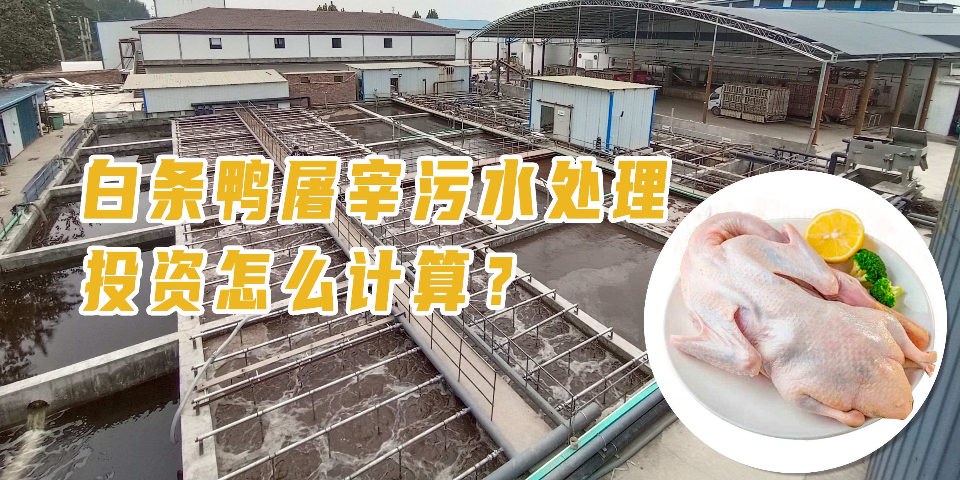 白條鴨屠宰污水處理投資怎么計(jì)算？
