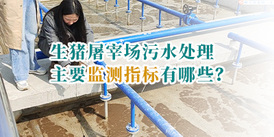 生豬屠宰場(chǎng)污水處理主要監(jiān)測(cè)指標(biāo)有哪些？
