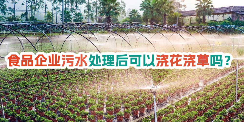 食品企業(yè)污水處理后可以澆花澆草嗎？