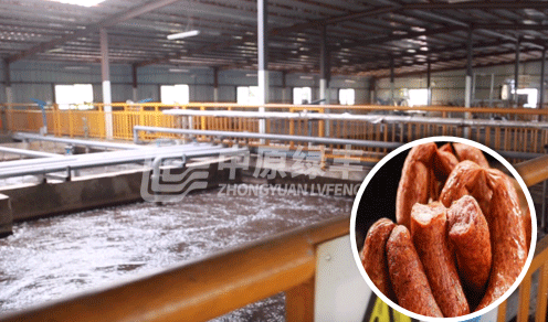 紅腸工廠(chǎng)廢水水質(zhì)及處理方法