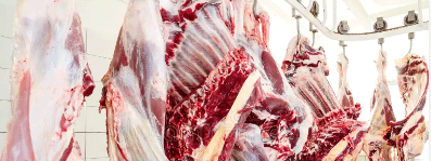 熱屠宰和冷屠宰產(chǎn)生的廢水有什么區(qū)別？