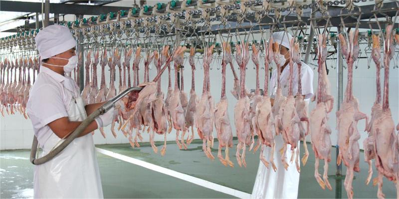 如何處理白條鴨屠宰產(chǎn)生的廢水？