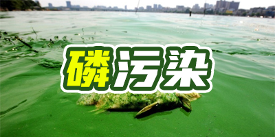 含磷廢水有什么特點？哪種除磷方法成本比較低？