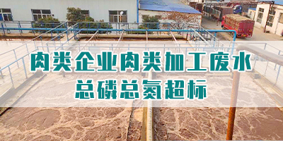 肉類企業(yè)肉類加工廢水總磷總氮超標怎么處理?